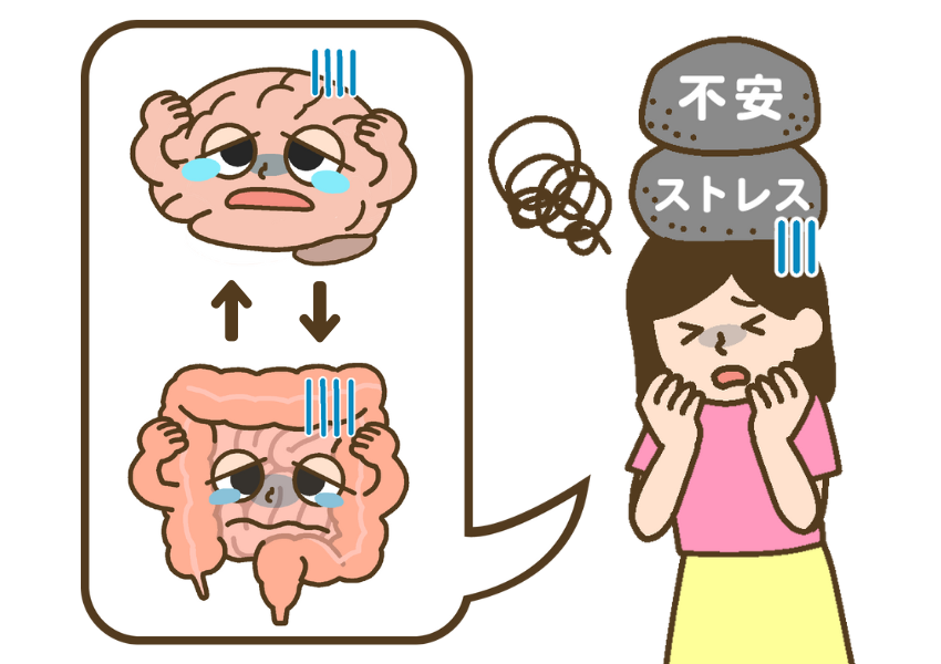 不安やストレスで脳のセロトニンが減り、腸内環境が悪くなっている女児