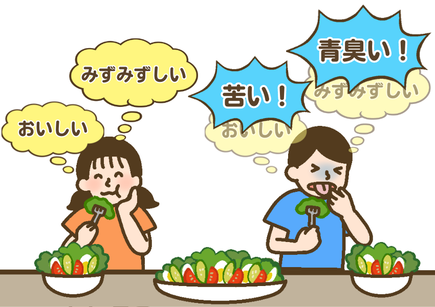 サラダを食べて「みずみずしい、美味しい」とポジティブに捉える女児と、「苦い、青臭い」を強く感じてしまう味覚過敏のある男児