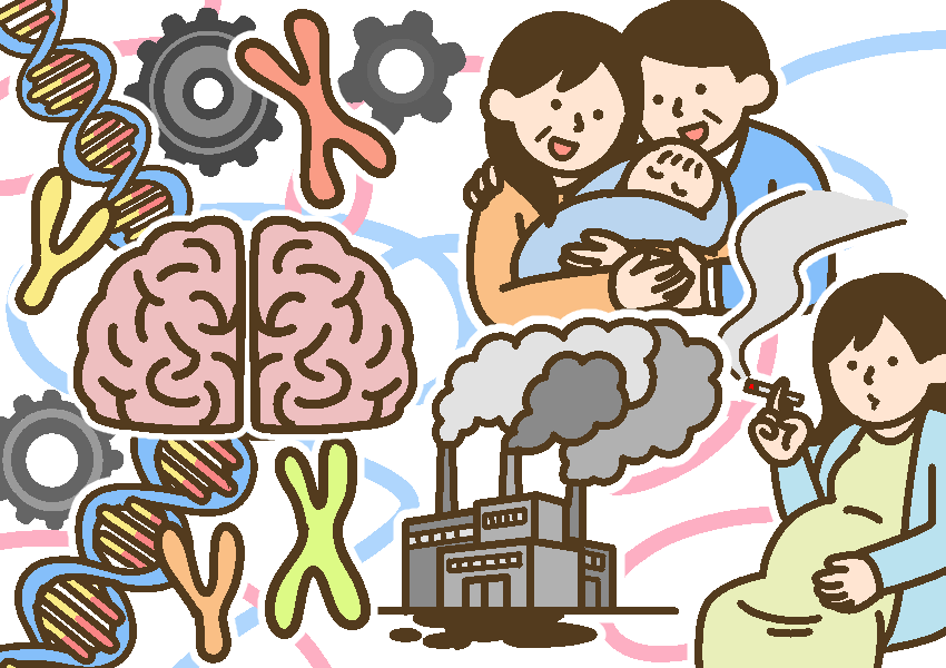 発達障害の原因のイメージ図。さまざまな要因が複雑に絡み合っている。