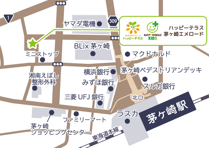 基本情報