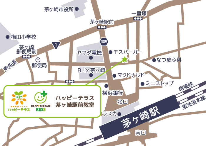 基本情報