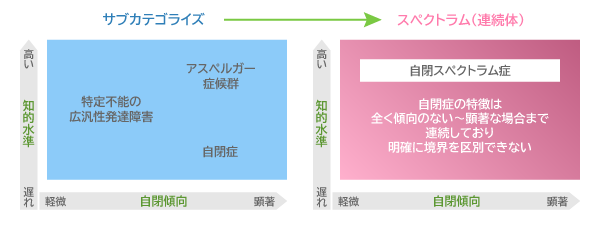 自閉スペクトラム症の統合の図